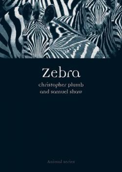 Zebra par Christopher Plumb
