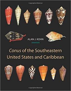 Conus of the southeastern united states and caribbean par Alan J. Kohn