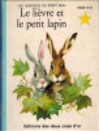 Les aventures du livre et du petit lapin par Anne-Marie Dalmais