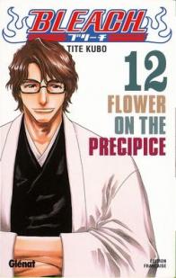 Bleach, Tome 12 : Flower on the Precipice par Taito Kubo