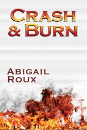 Ty et Zane, tome 9 : Crash & Burn par Abigail Roux