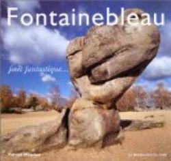 Fontainebleau par Milochau