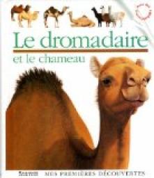 Le dromadaire et le chameau par Claude Millet