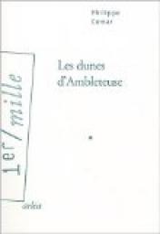 Les Dunes d'Ambleteuse par Philippe Comar