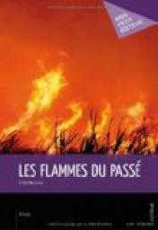 Les Flammes du pass par Christine Lara