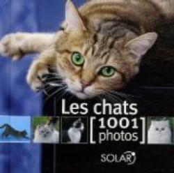 Les chats : 1001 Photos par Yves Lanceau