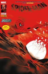 Spider-man 132 par  Marvel