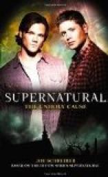 Supernatural, tome 5 : The Unholy Cause  par Joe Schreiber