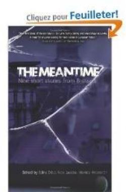 The Meantime: nine short stories from Brussels par Edina Dci