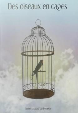 Des oiseaux en cages par Didier Colpin