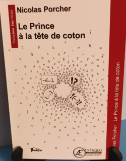 le prince  la tte de coton par Nicolas Porcher