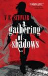 A gathering of shadows par Schwab