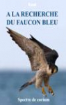 A la recherche du faucon bleu par Valceka