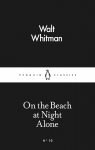Alone on the Beach at Night par Whitman