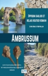 Ambrussum : Oppidum gaulois et relais routier romain par Bénédite Edorh