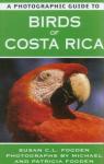 Birds of Costa Rica par Fogden