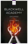Blackwell Academy, tome 5 : Enflammée par Clarke