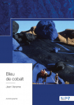 Bleu de cobalt par Verame