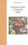 Calosoma, Carabus, et Cychrus de France par 