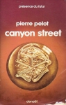 Canyon street par Pelot