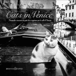 Cats in Venice, fotografie e racconti dei gatti che si aggirano per le calli di Venezia - Volume 1 par Zampieri