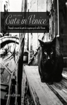 Cats in Venice par Zampieri