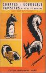 Cobayes - cureuils - Hamsters - Rats et souris par Robin