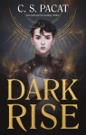 Dark Rise, tome 1 par 