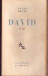 David par Dhôtel