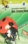 Des socits organises, les insectes par Albouy