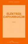Elektrik Capharnam par Wellens