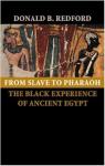 From slave to Pharaoh par Redford