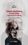 Galaxie Houellebecq : loge de l'exercice littraire par 