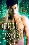 L'horoscope amoureux, tome 3 : Gemini Keeps Capricorn par Sunday