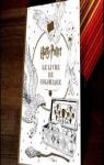 Harry Potter coloriage vol 1 par Panini