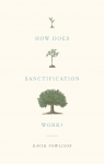 How Does Sanctification Work? par Powlison