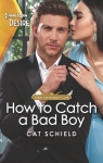 How to Catch a Bad Boy par Schield