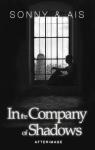 In the Company of Shadows, tome 2 : Afterimage par Hassell