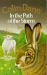 In the Path of the Storm par Dann