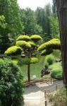 Jardins du Japon par Massimo Venturi Ferriolo
