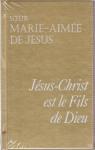 Jsus-Christ est le Fils de Dieu, tome 4 : La vie publique de Jsus-Christ par Jsus