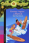 La Cabane Magique, Tome 23 : Grosses vagues à Hawaï par Osborne