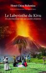Le Labyrinthe du Kivu par Henri Chiza Balumisa