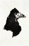 Le corbeau (The Raven) par Mallarm