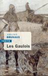 Les Gaulois par Brunaux