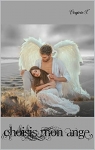 Les anges déchus, tome 5 : Choisis mon ange par Virginie T.