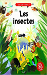 Les insectes par Haiyang
