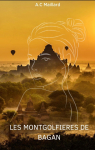 Les montgolfières de Bagan par Maillard
