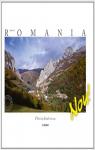 Made in Romania par Andreescu