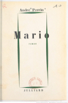 Mario par Perrin